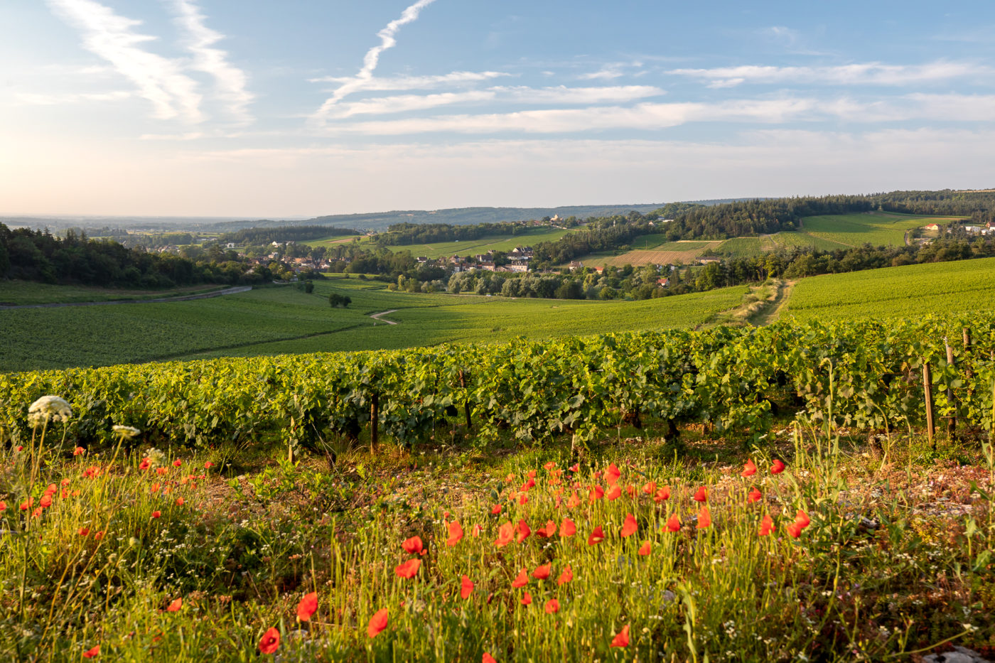 histoire de l'appellation mercurey