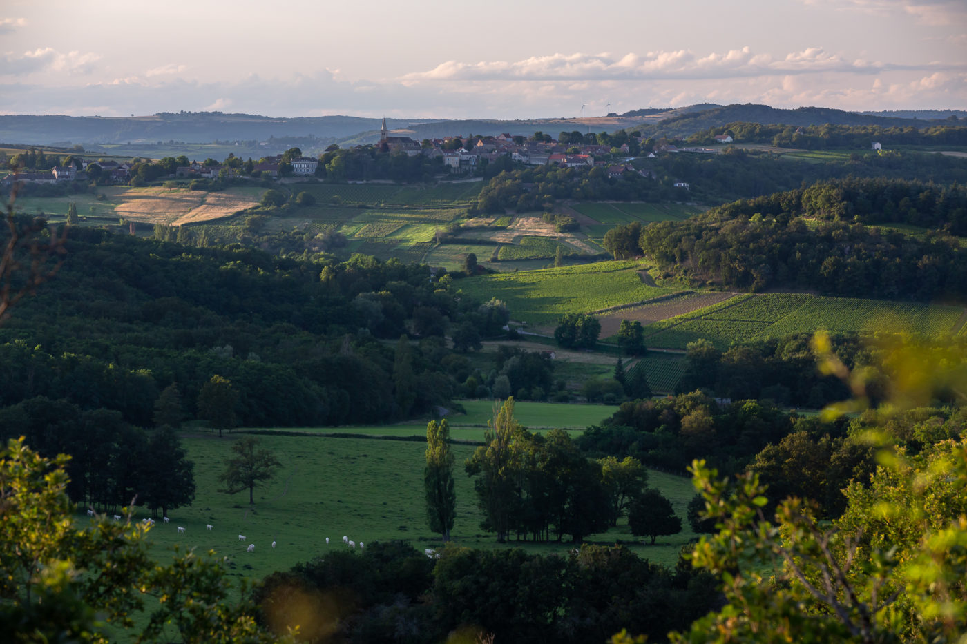 terroir appellation mercurey