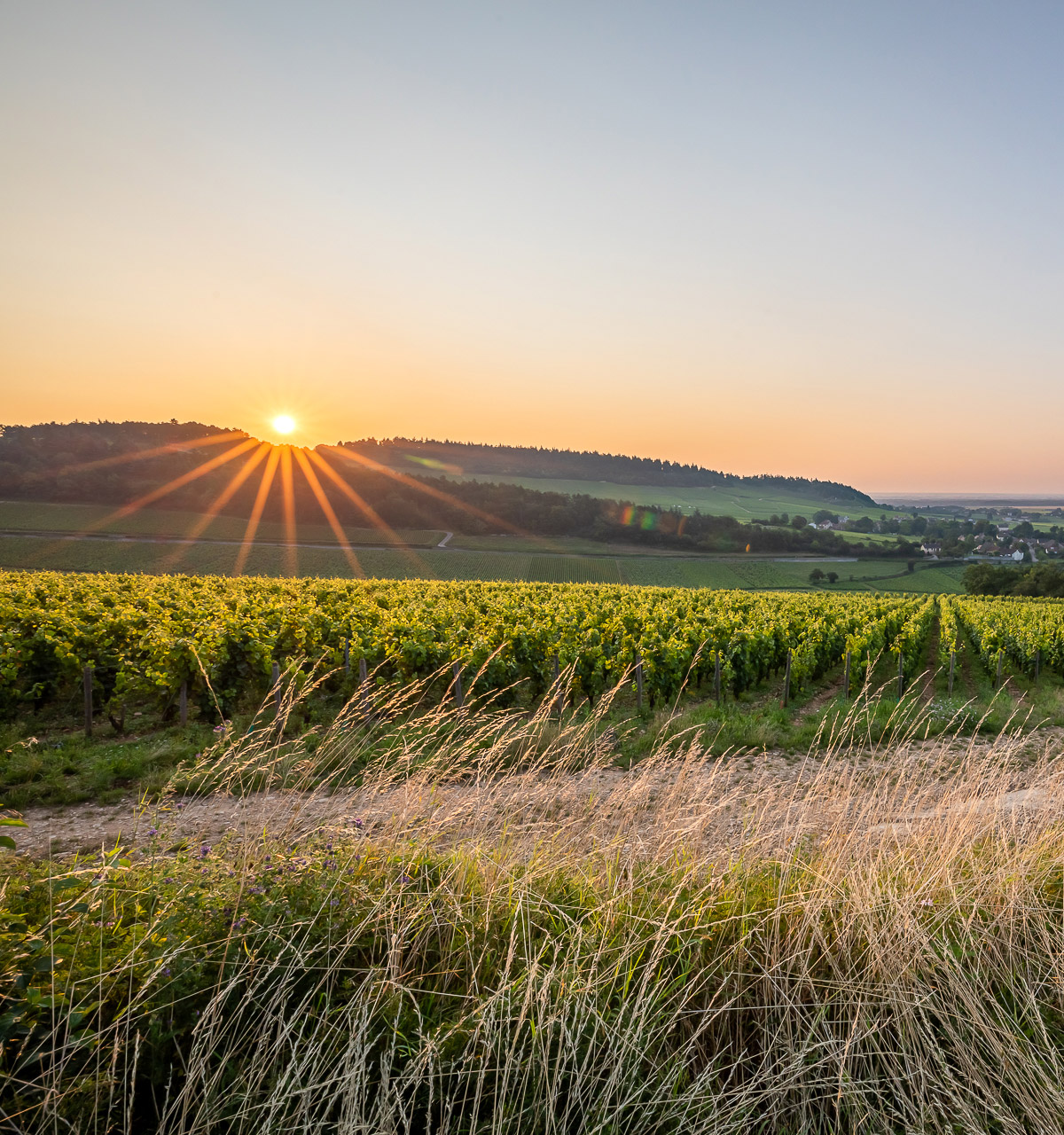 climats mercurey appellations villages et premiers crus