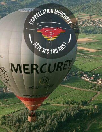 Les 100 ans de l'appellation Mercurey